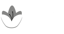 Crocus-Cards